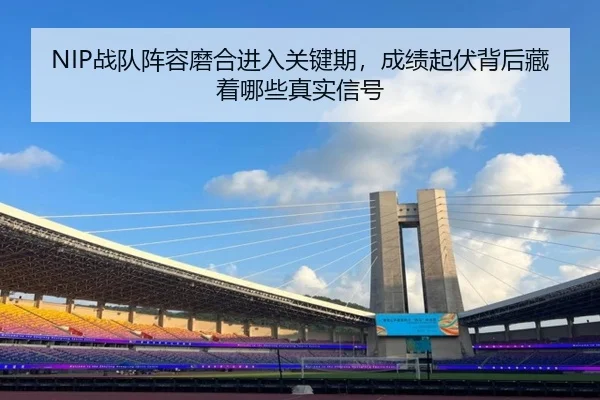 NIP战队阵容磨合进入关键期，成绩起伏背后藏着哪些真实信号